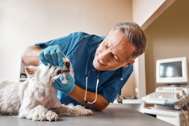 Best Emergency Tooth Extraction in Cotulla, TX